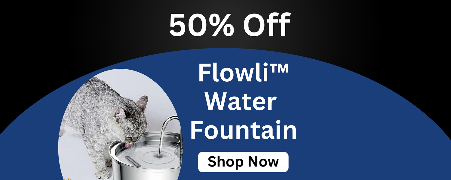Water Fountain